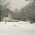 積雪風景1月24日
